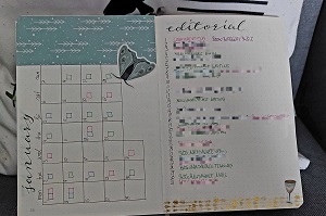 A two page-spread having a calender for January on the left page and blurred activities for the days on the right side.
